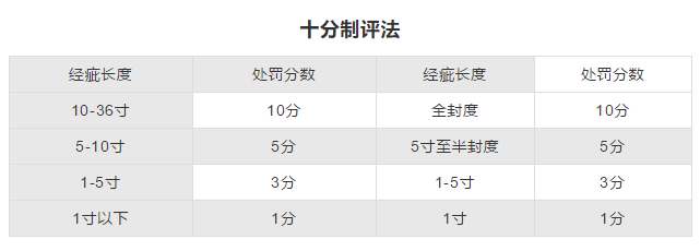 十分制评分法